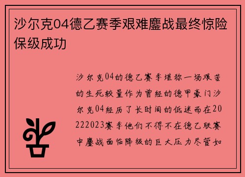 沙尔克04德乙赛季艰难鏖战最终惊险保级成功